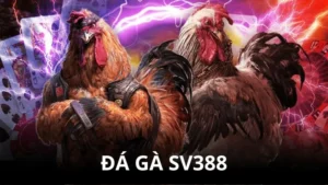 Đá Gà SV388