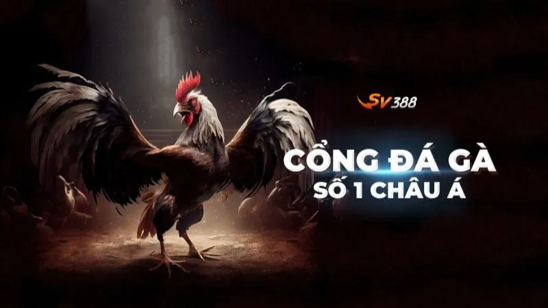 Trang chủ 26 Đá gà SV388