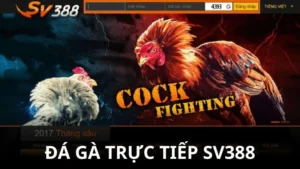 đá gà trực tiếp SV388