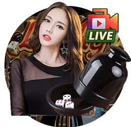 Trang chủ 11 dc585a91d82231184daa5758b419171e