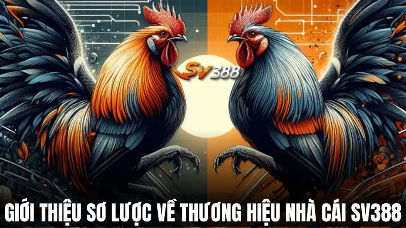 Trang chủ 20 Giới thiệu sơ lược về thương hiệu nhà cái SV388