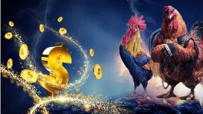 Đá gà trực tiếp SV388: Tính năng nổi bật và hấp dẫn 2 Hệ thống cá cược linh hoạt