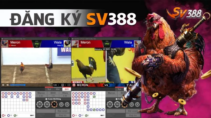 Hướng dẫn từ A-Z cách đăng ký SV388 nhanh chóng, an toàn 2 Hướng dẫn quá trình đăng ký SV388 trong 3 bước