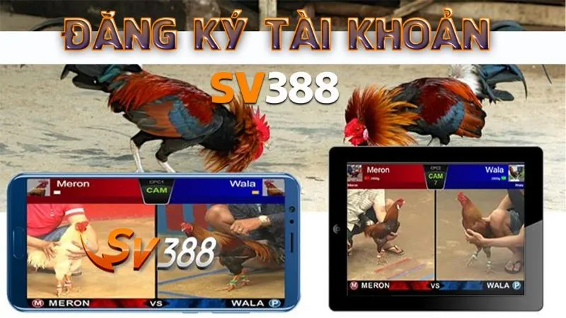 Hướng dẫn từ A-Z cách đăng ký SV388 nhanh chóng, an toàn 3 Những lợi ích sau khi đăng ký SV388