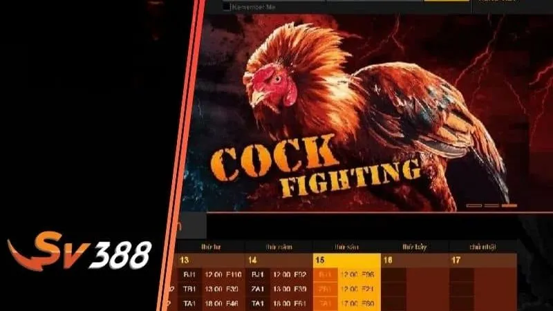 Sảnh Đá Gà SV388: Điểm đến của những trận đấu kịch tính 1 Ưu điểm nổi bật làm nên thương hiệu của sảnh Đá Gà SV388