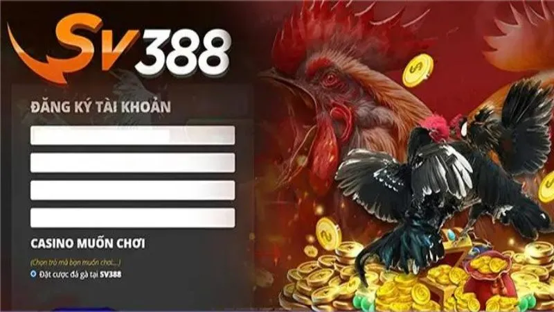 Hướng dẫn chơi đá gà Campuchia SV388 chi tiết 2 Cách đăng ký tài khoản đá gà Campuchia SV388