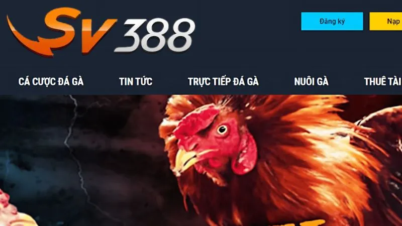 SV388 có uy tín không: Đánh giá chi tiết nhà cái cá cược 2 Đa dạng sản phẩm cá cược