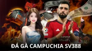 đá gà campuchia