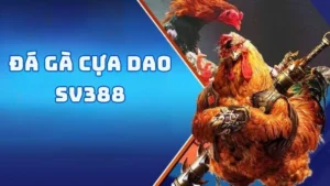 đá gà cựa dao sv388