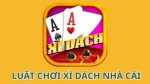 Luật chơi xì dách nhà cái: Hiểu rõ để chinh phục ván bài