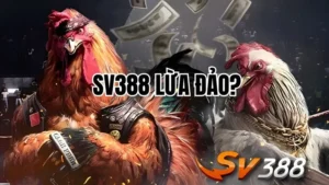 Sự thật về tin đồn SV388 lừa đảo: Nguyên nhân và thực hư