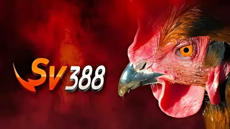 Sự thật về tin đồn SV388 lừa đảo: Nguyên nhân và thực hư 1 Tin đồn SV388 lừa đảo bắt nguồn từ đâu?