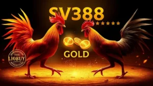 Đá Gà SV388 Gold Là Gì?