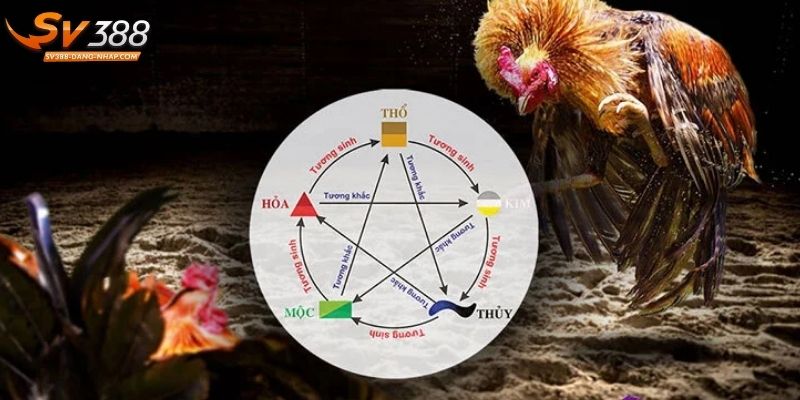 2 cách xem màu mạng đá gà hiệu quả