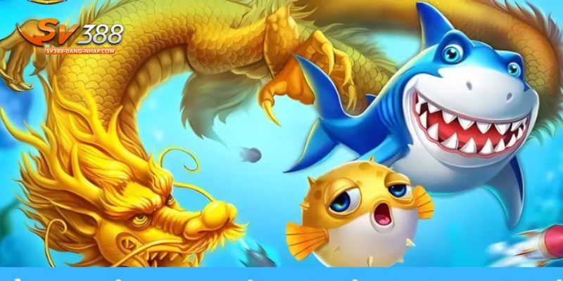 Tập trung săn cá lớn