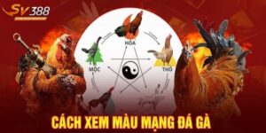 Màu mạng gà