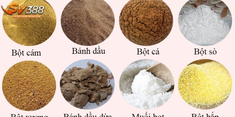 Xây dựng chế độ dinh dưỡng chọi kê tăng sức bền